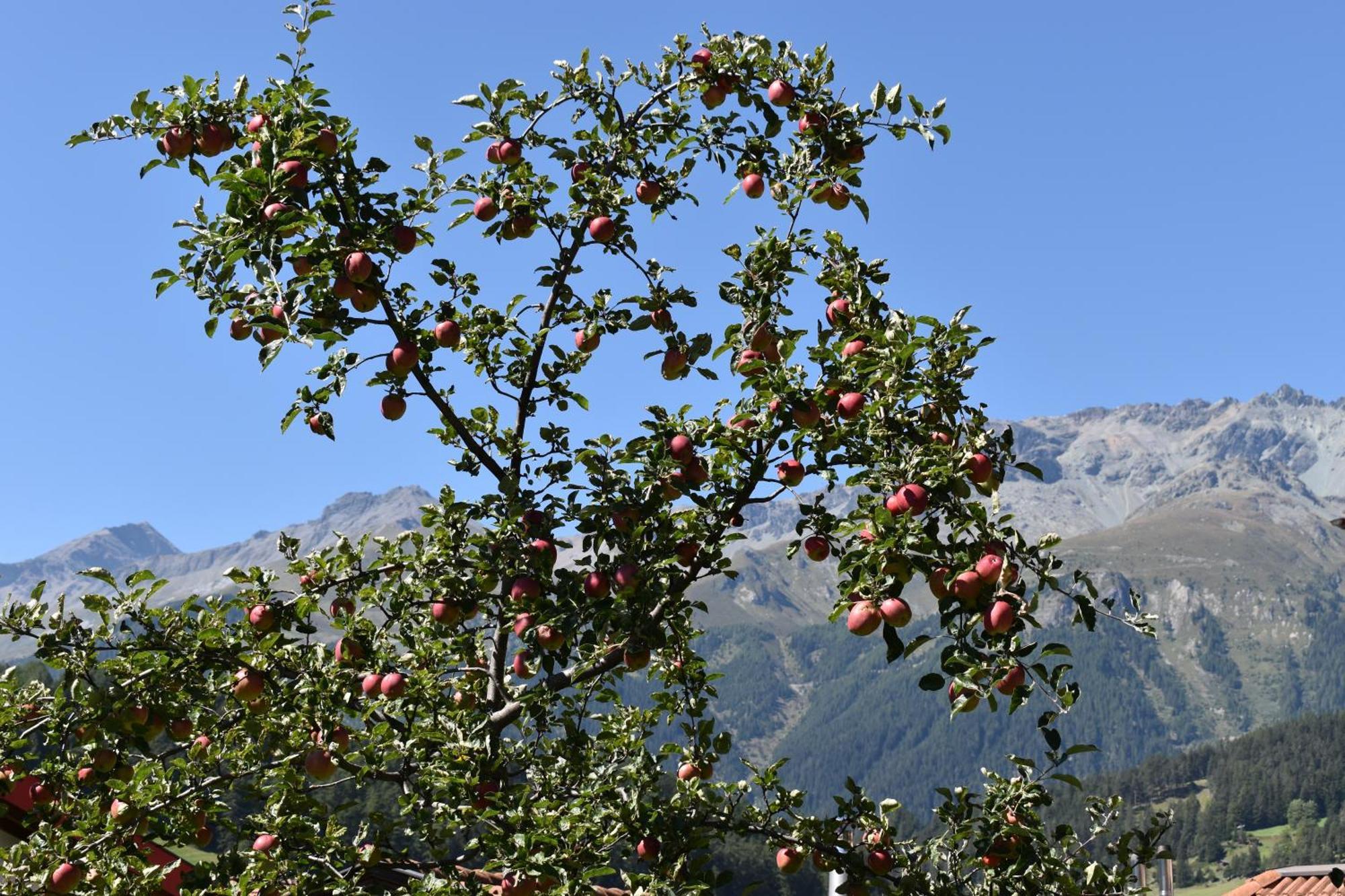 Hirschstube Nauders Bed & Breakfast Dış mekan fotoğraf